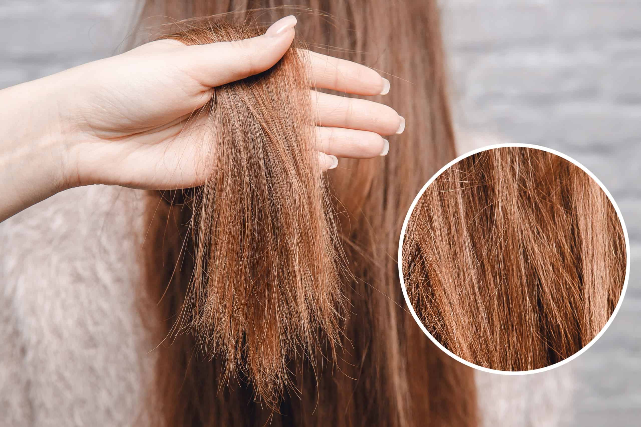 How To Treat Damaged Hair